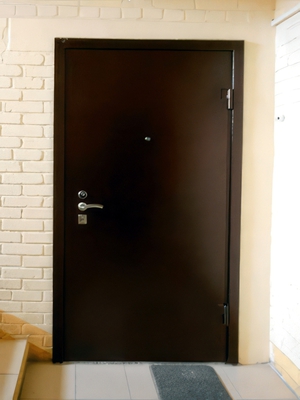 Антивандальная дверь Антивандальная дверь