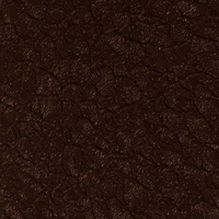 Крокодил Коричневый Крокодил Коричневый