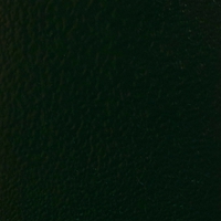 Шагрень темно-зеленая Шагрень темно-зеленая